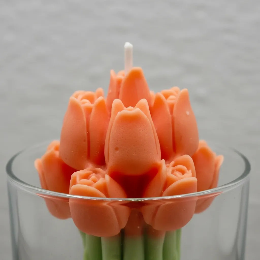 Vela Tulipán