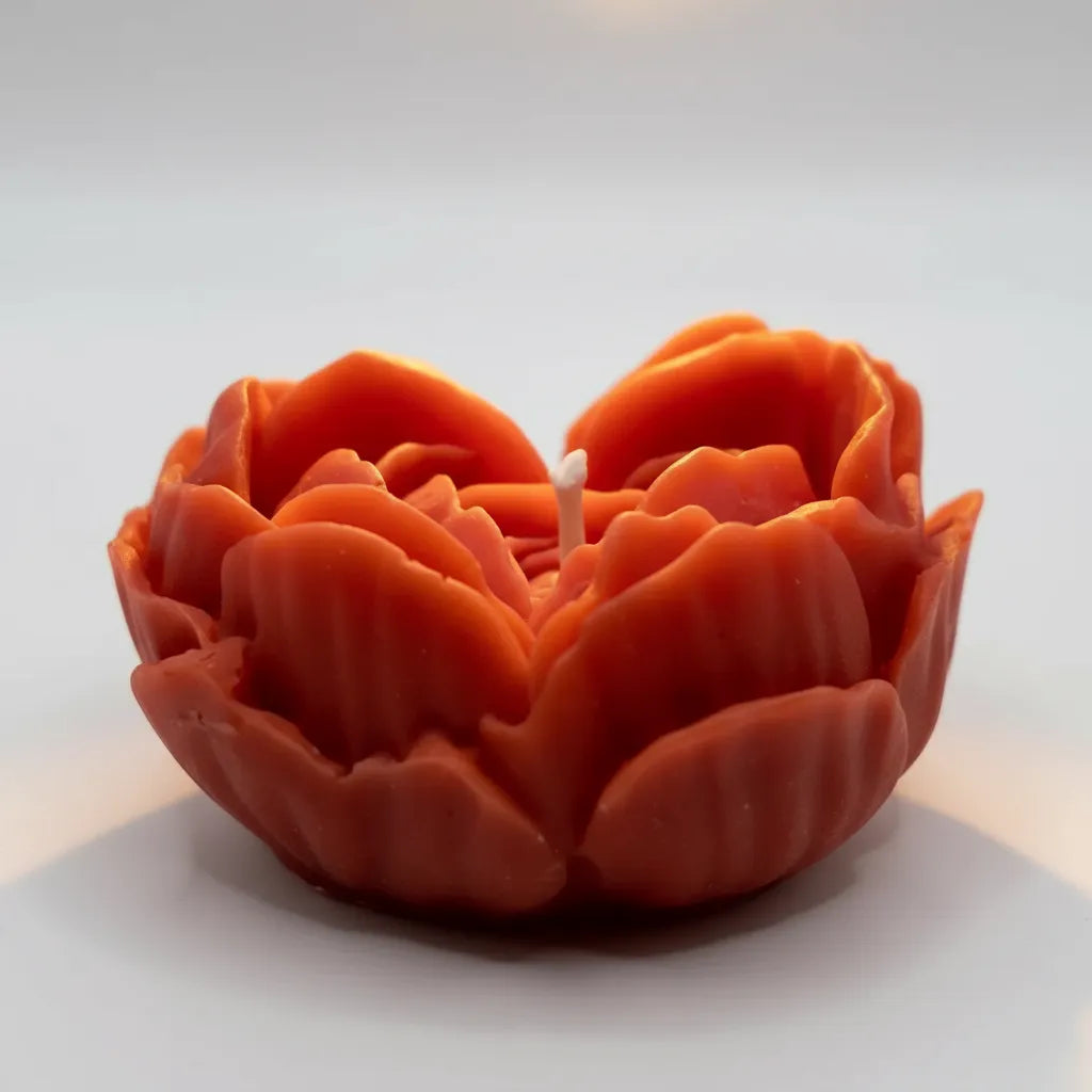 Velas Kit Dúo Amor