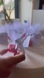 Rosa con Denario — Vela de Soya Aromática